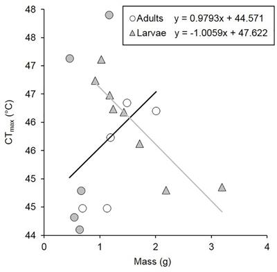 The Effect of Oxygen Limitation on a Xylophagous Insect’s Heat Tolerance Is Influenced by Life-Stage Through Variation in Aerobic Scope and Respiratory Anatomy